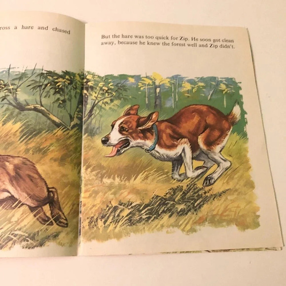 Vtg Zip and the Hedgehog Infant Series Book Robert Dallet Corlia - Picture 8 of 15